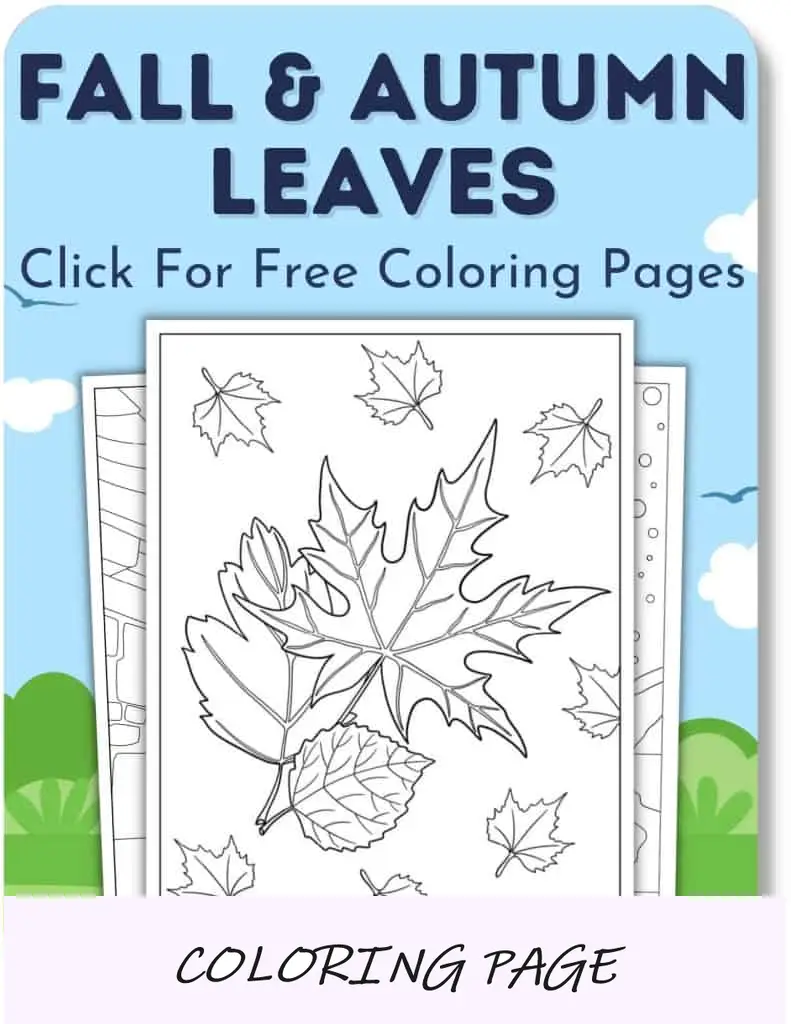Páginas para colorir de folhas de outono e outono para meninos