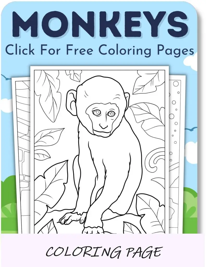 Desenhos para colorir de macacos para meninos