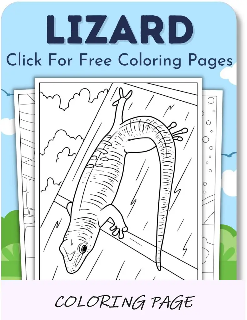 Desenhos para colorir de lagarto para meninos