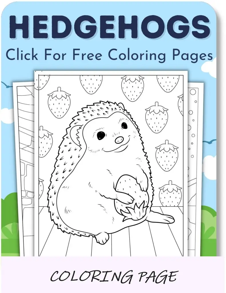 Desenhos para colorir de ouriços para meninos