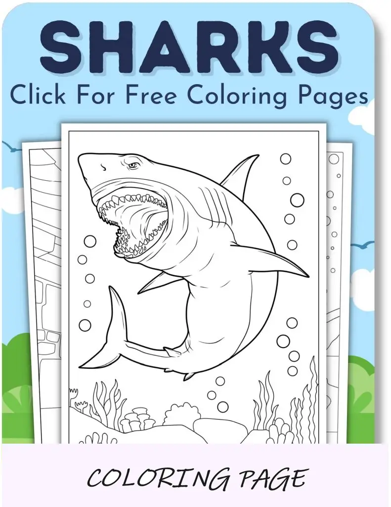 Desenhos para colorir de tubarões para meninos
