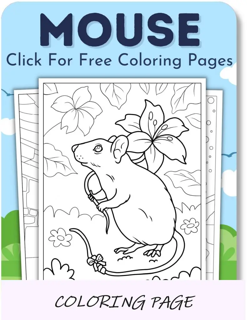 Desenhos para colorir de mouse para meninos