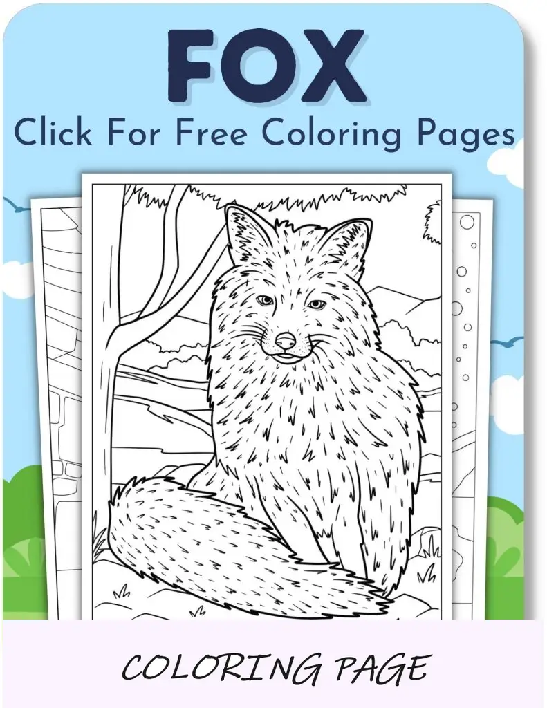 Desenhos para colorir de raposa para meninos