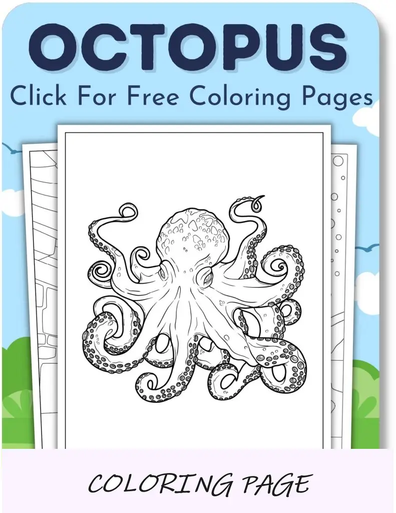 Desenhos para colorir de polvo para meninos