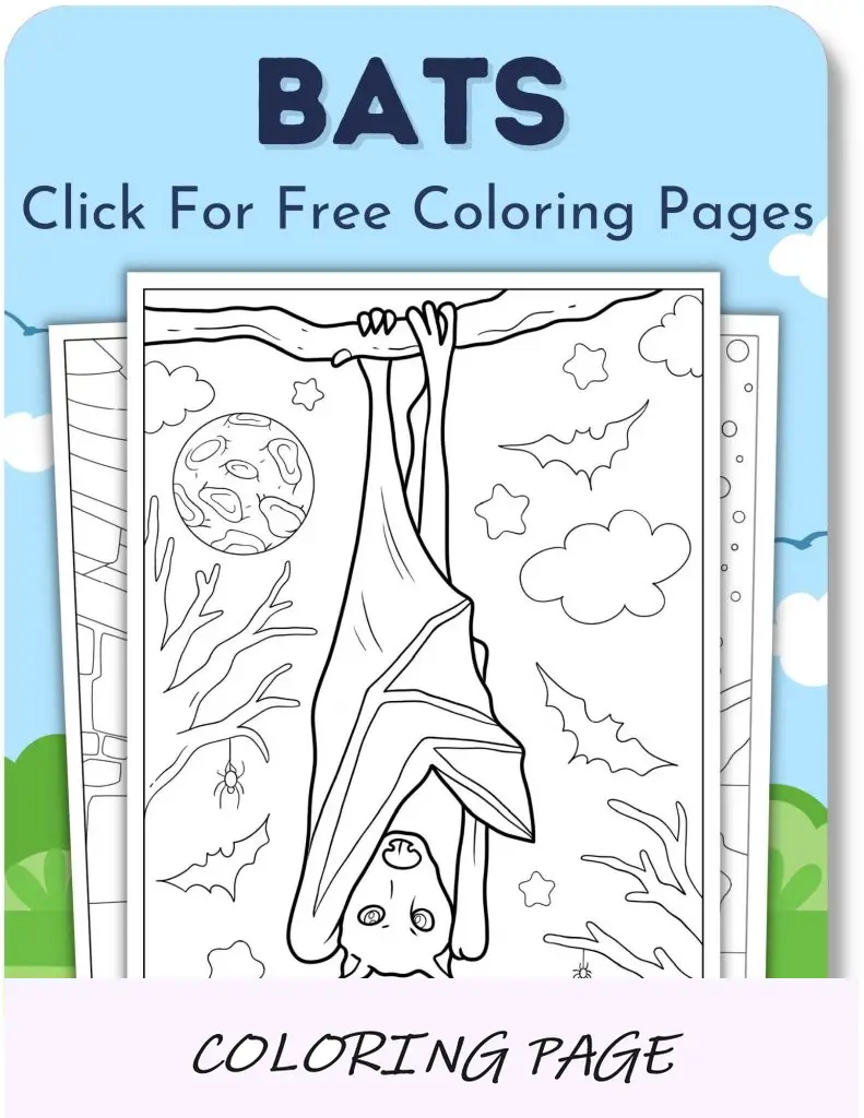 Desenhos para colorir de morcegos para meninos