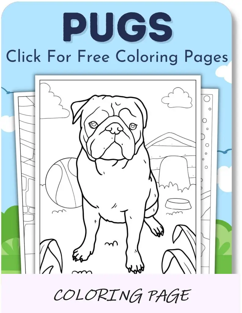 Pugs (páginas)