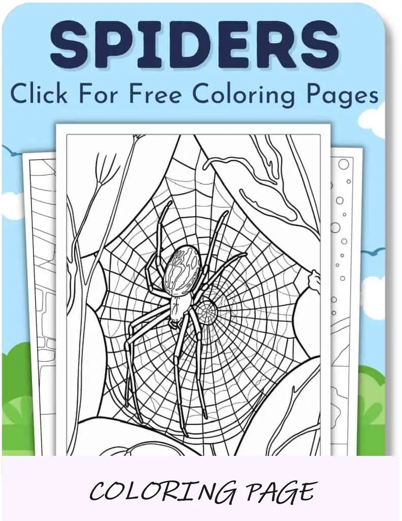 Aranhas (páginas)