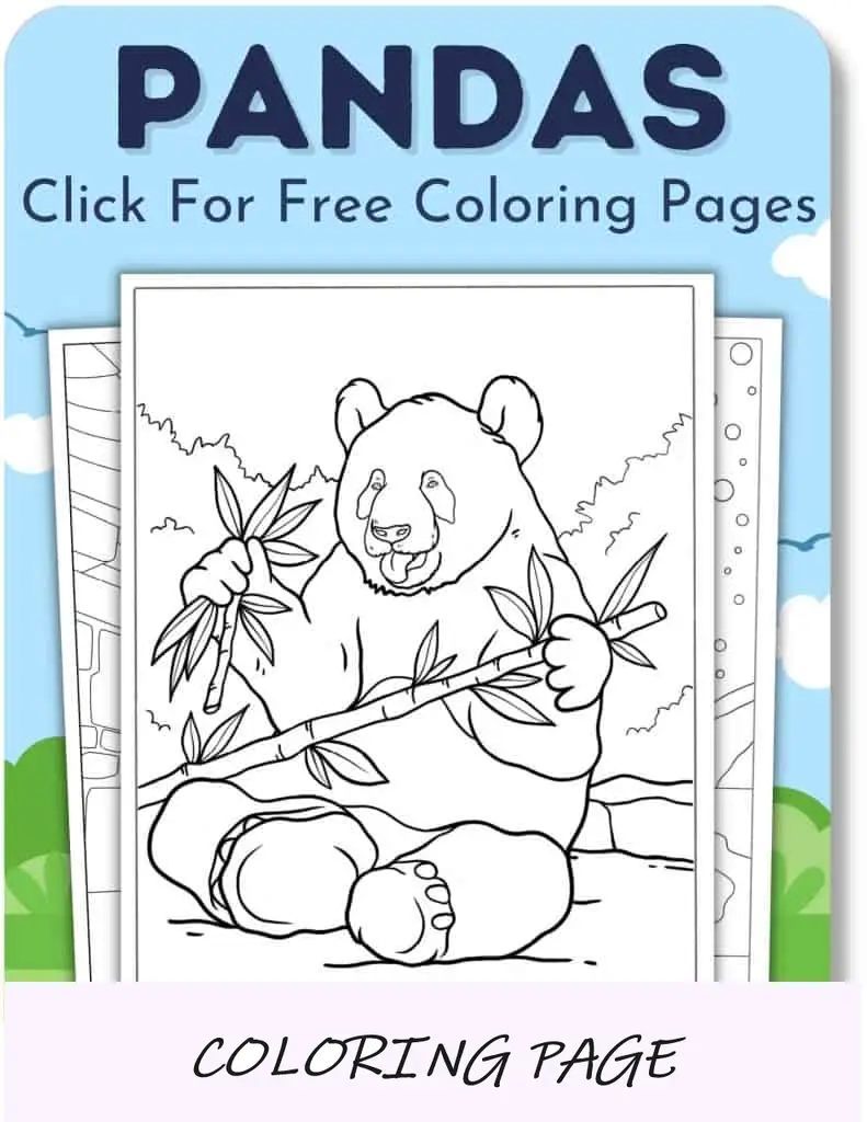 Pandas (páginas)