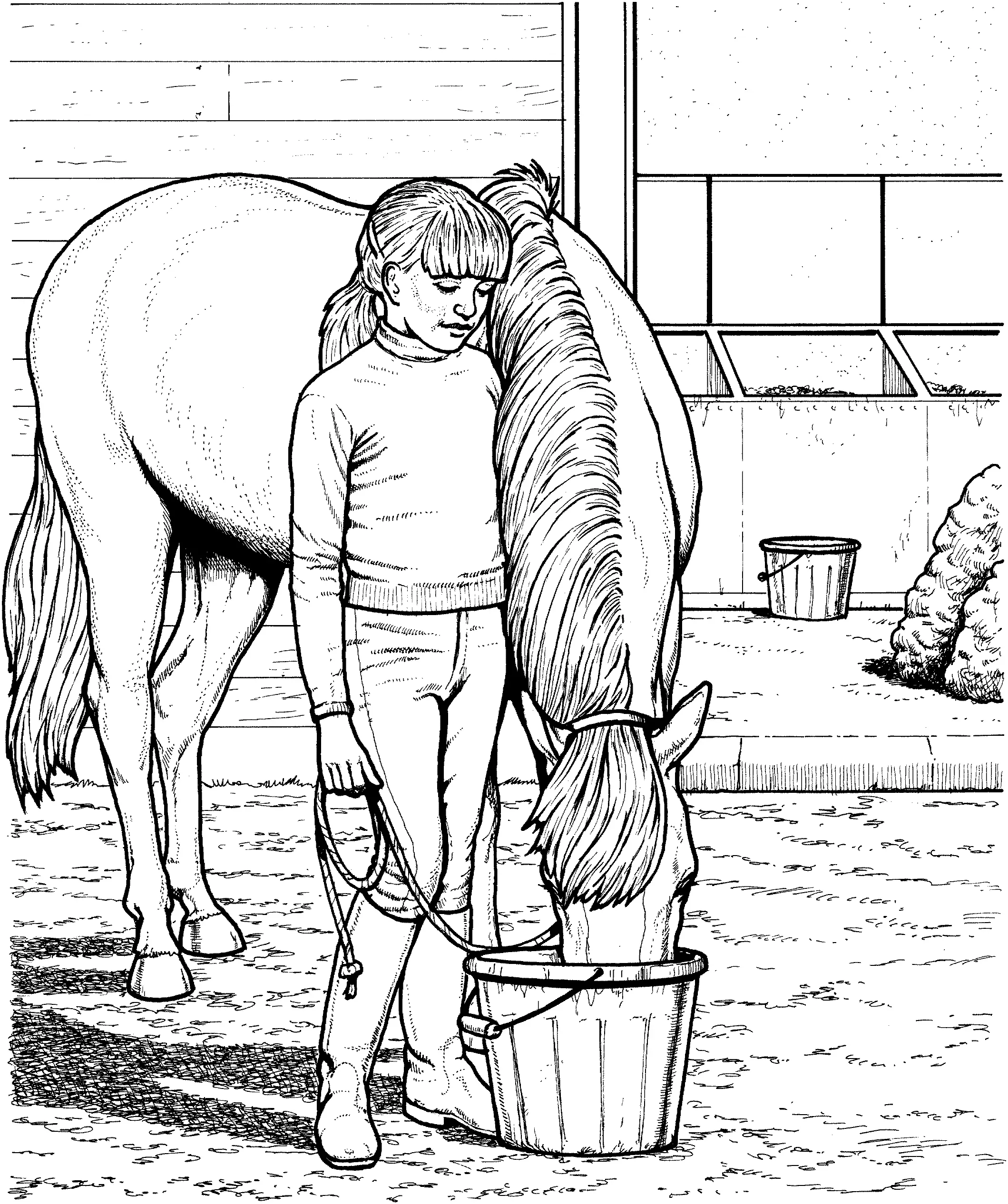Dressage Horse Coloring Page