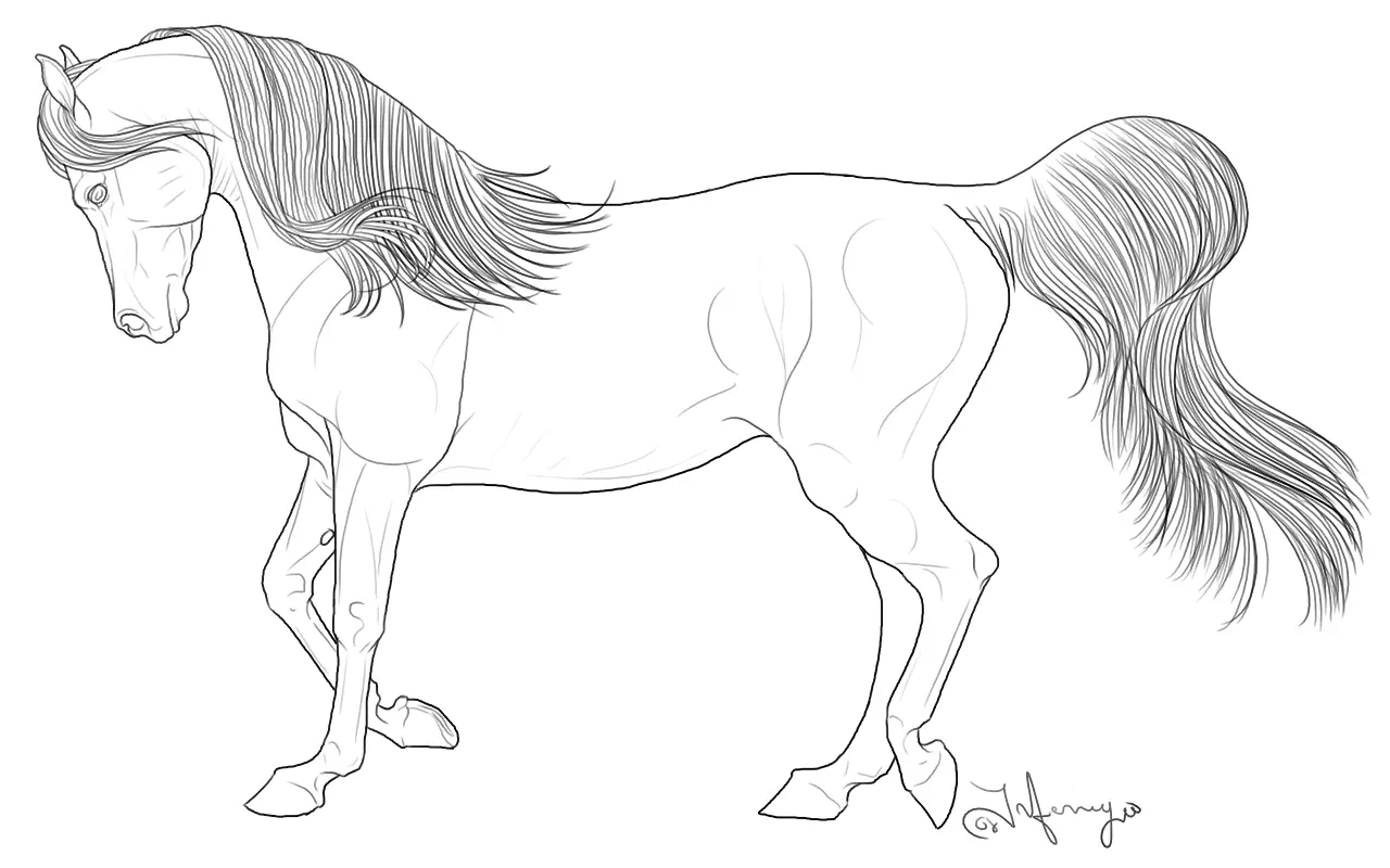 Large Clydesdale Horse Coloring Page