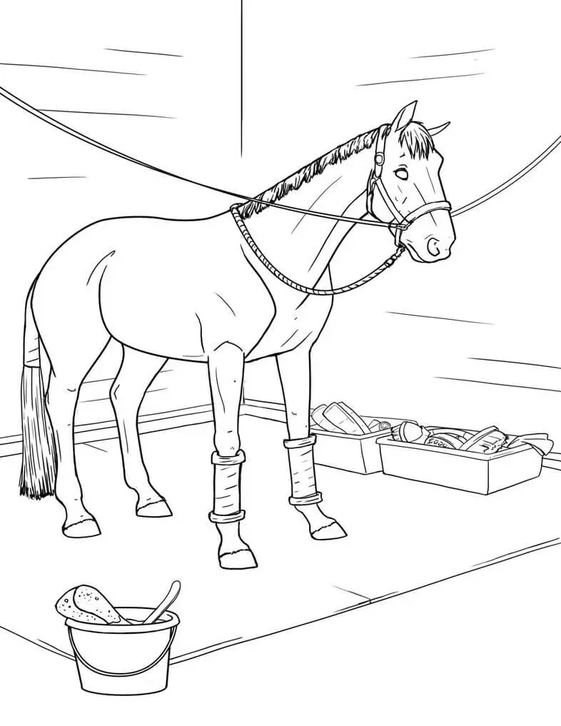 Washing Horse Coloring Pages