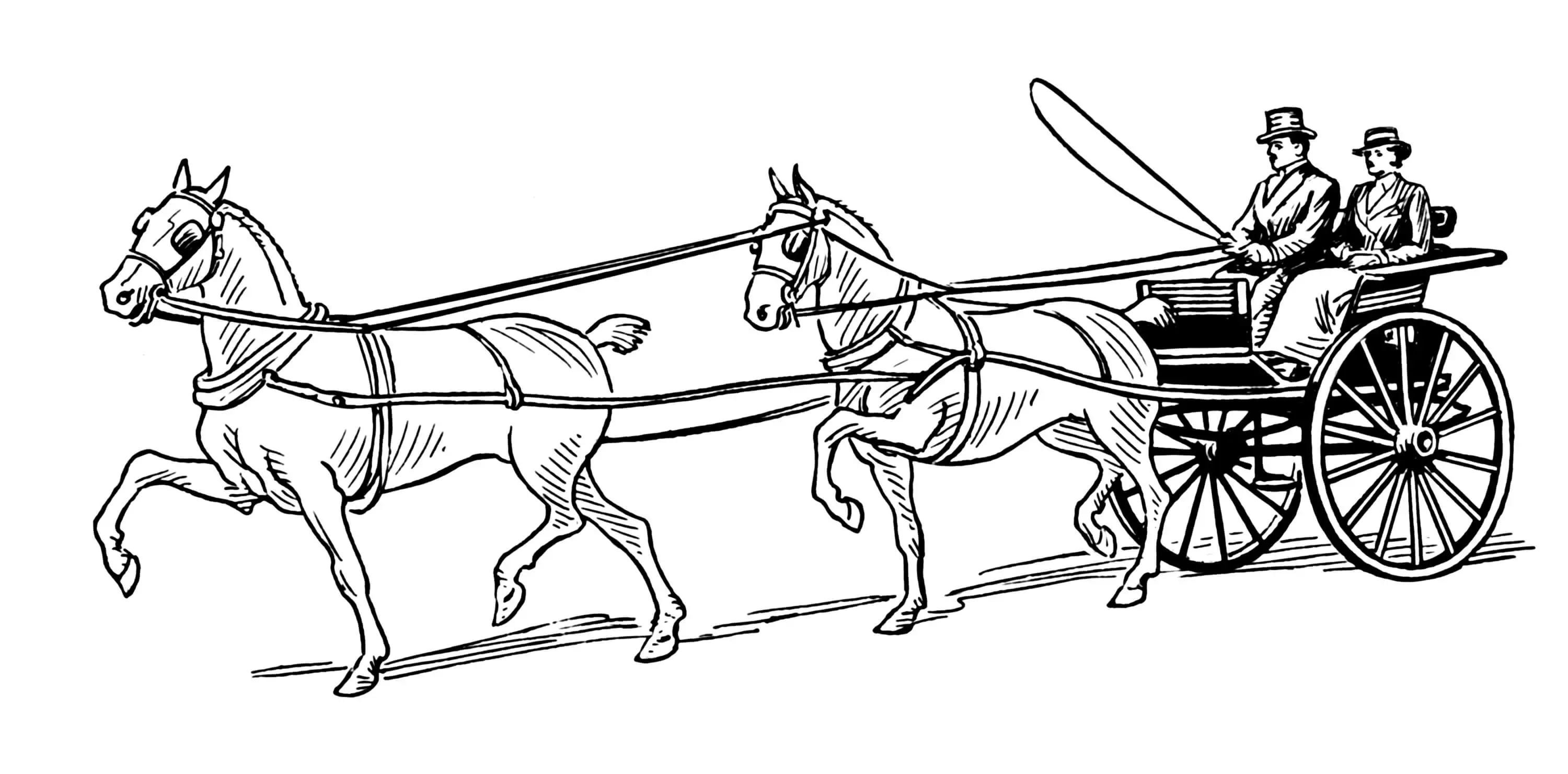 Horse Carriage Coloring Page