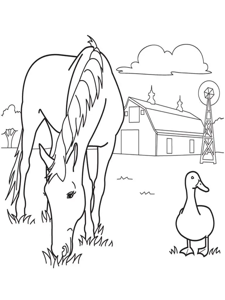 Horse And Duck On Farm Coloring Page