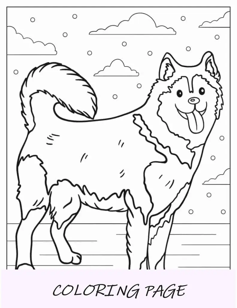 Desenho de Husky Siberiano para colorir