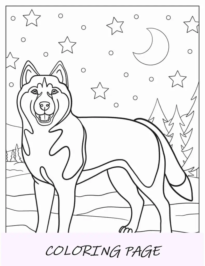 Husky Siberiano de aparência realista