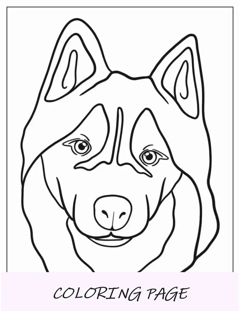 Folha para colorir de rosto Husky