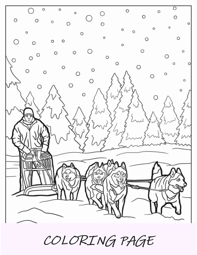 Huskies puxando um trenó de neve durante o inverno