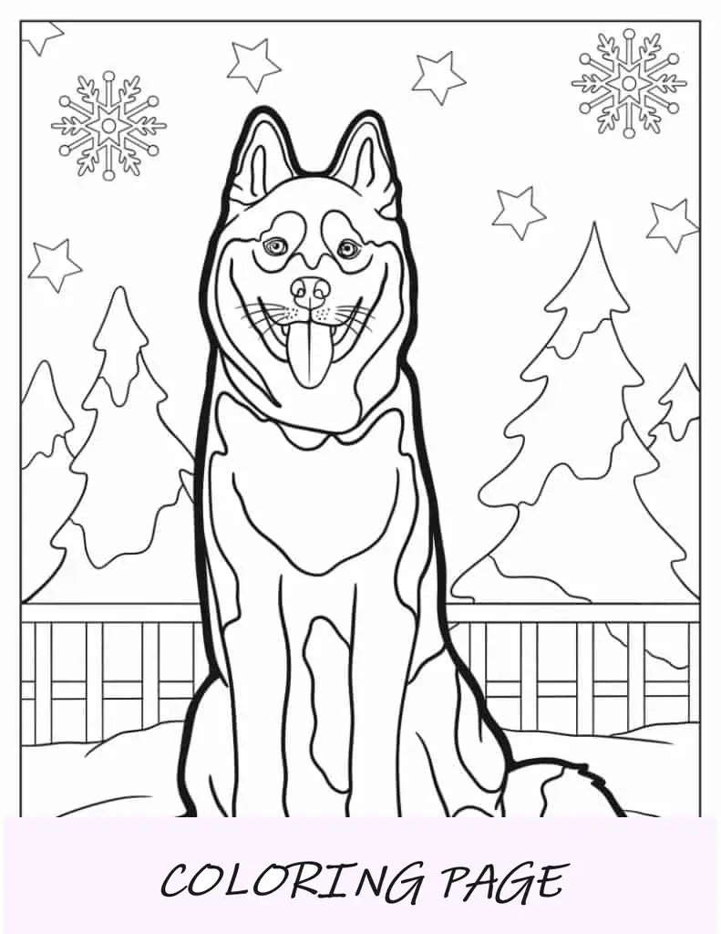 Cachorro Husky detalhado para colorir