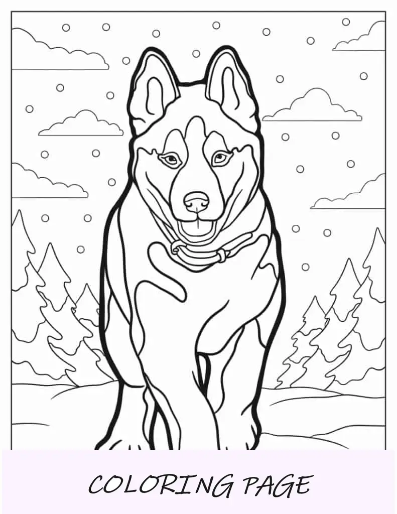 Filhote de cachorro Husky fofo para colorir