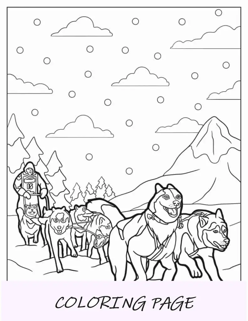 Página para colorir de Huskies puxando um trenó