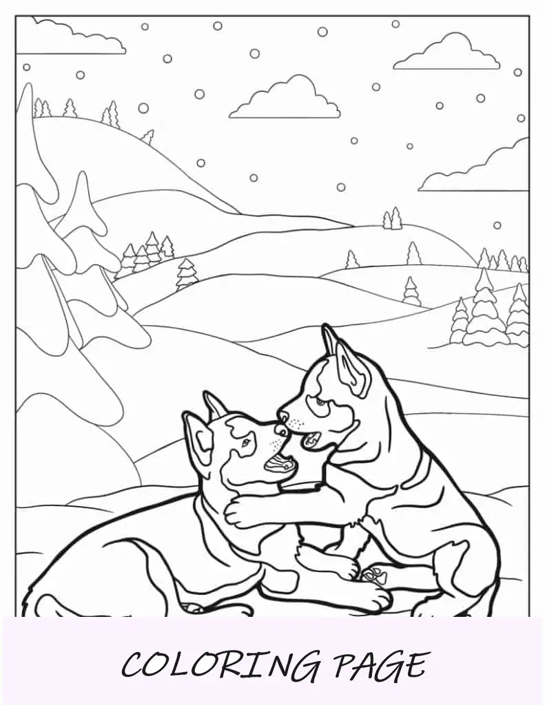 Dois cachorrinhos Husky brincando na neve