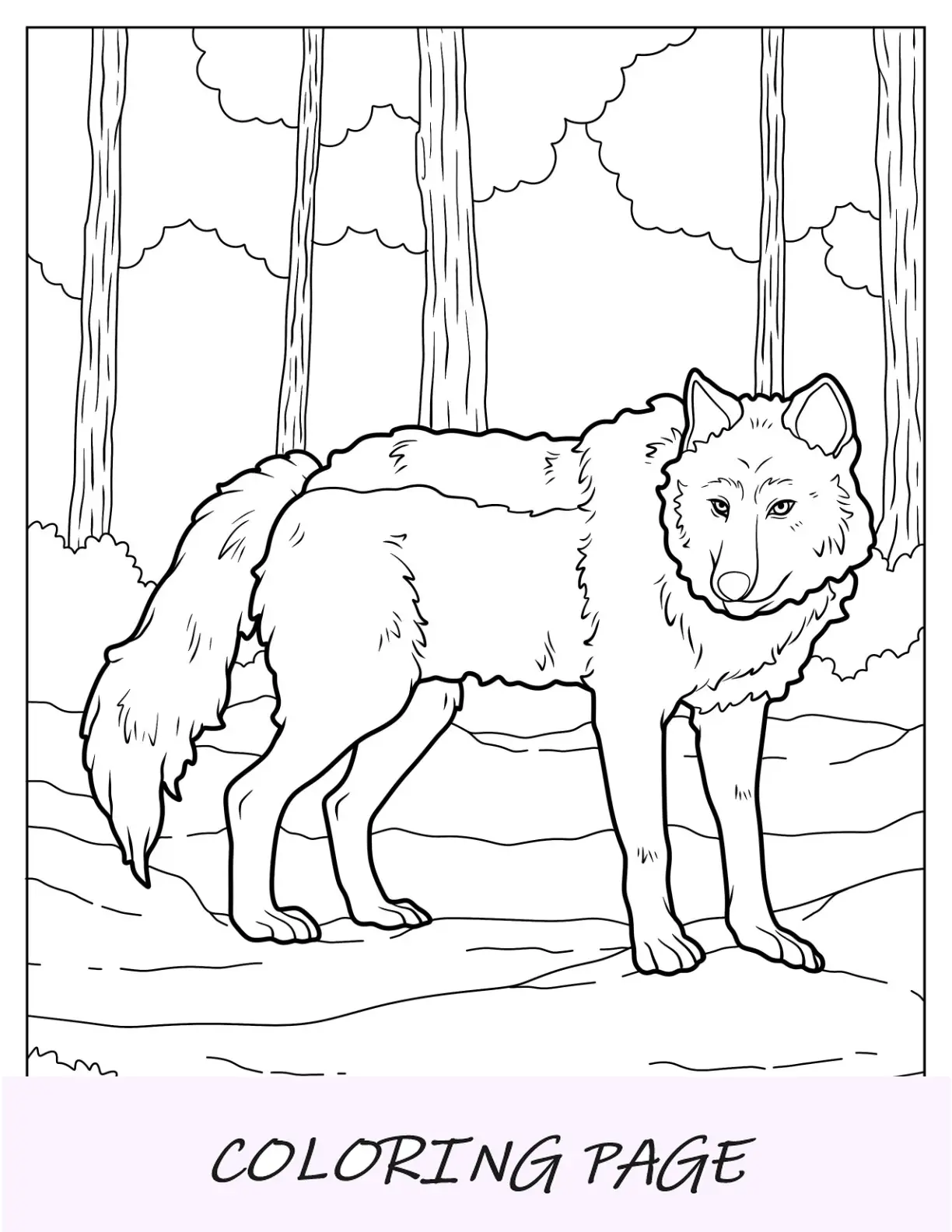 Wolf-Malseite mit detailliertem Fell, das im Wald steht