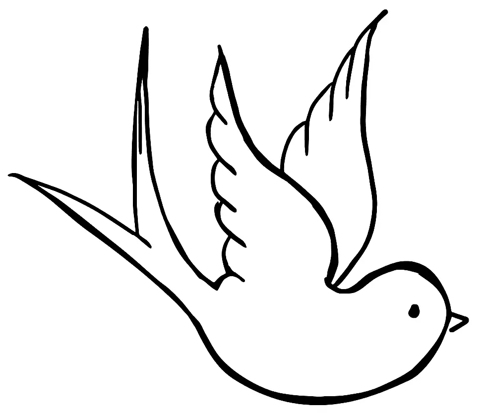Dove Line Art Drawing