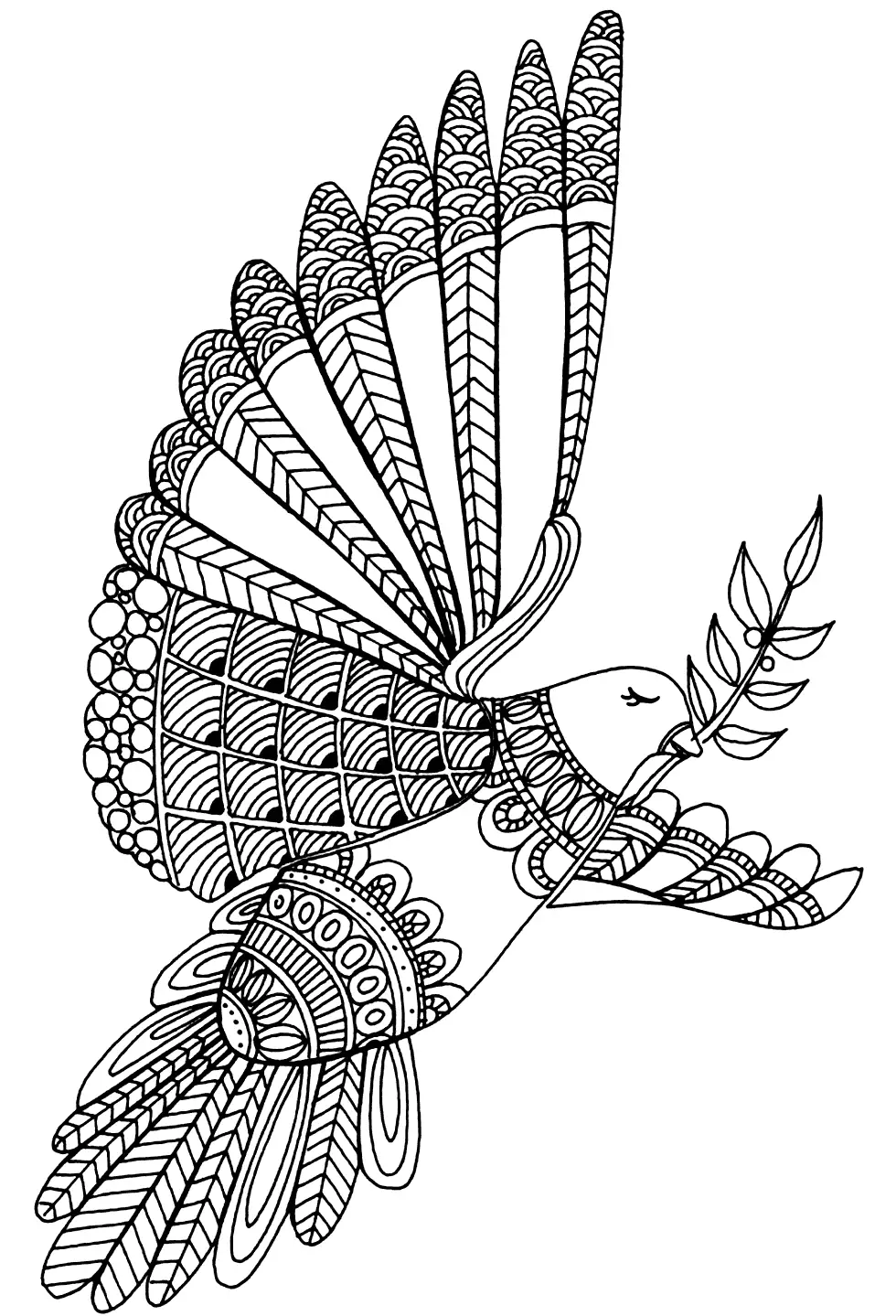 Peaceful Dove Coloring Pages For Adults