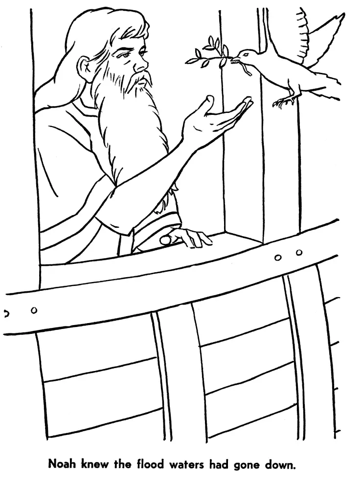 Noahs Dove Christian Coloring Page