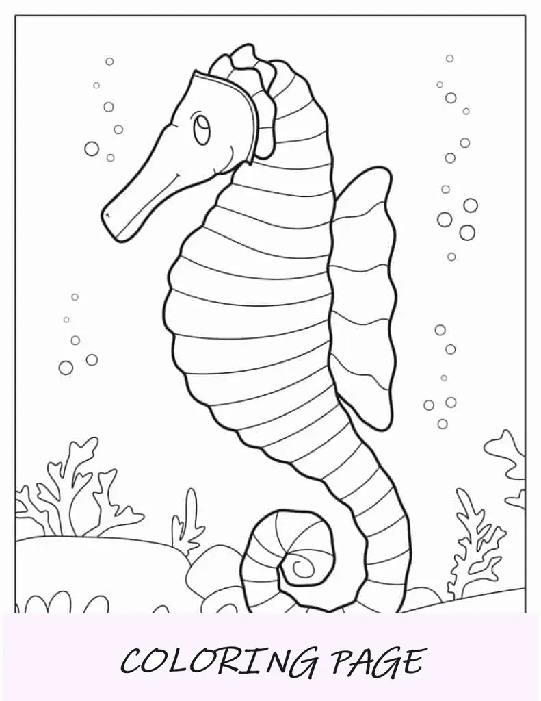 Página para colorir de um cavalo marinho de aparência realista