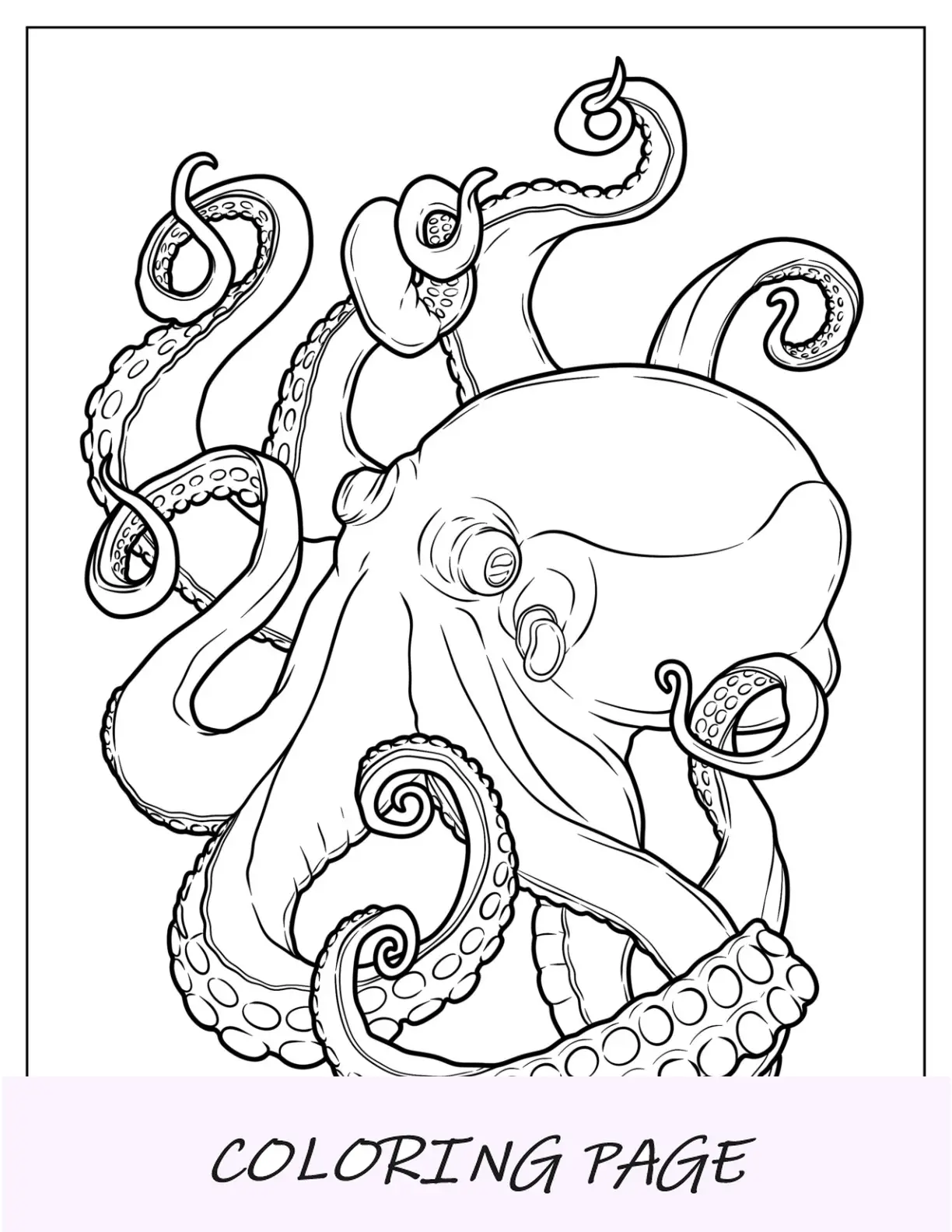 Ausmalbilder Makroktopus
