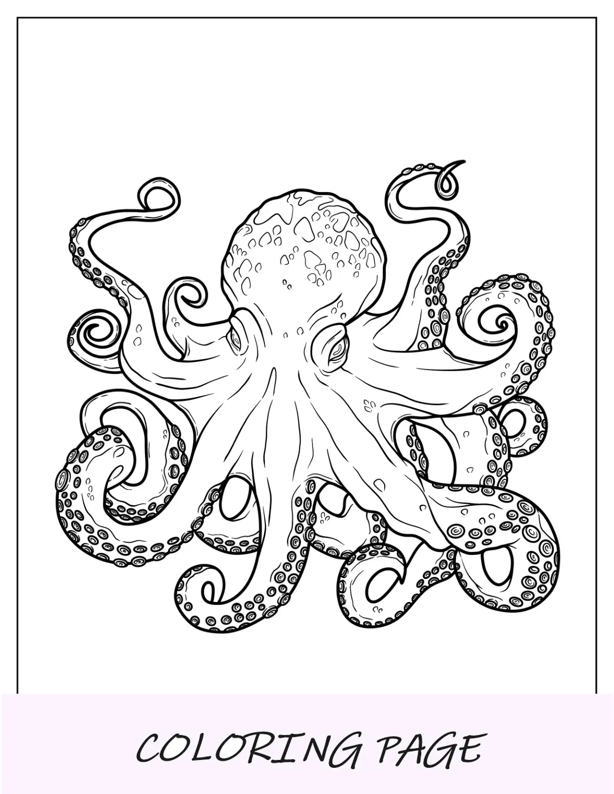 Malvorlage Roter Oktopus im Ostpazifik