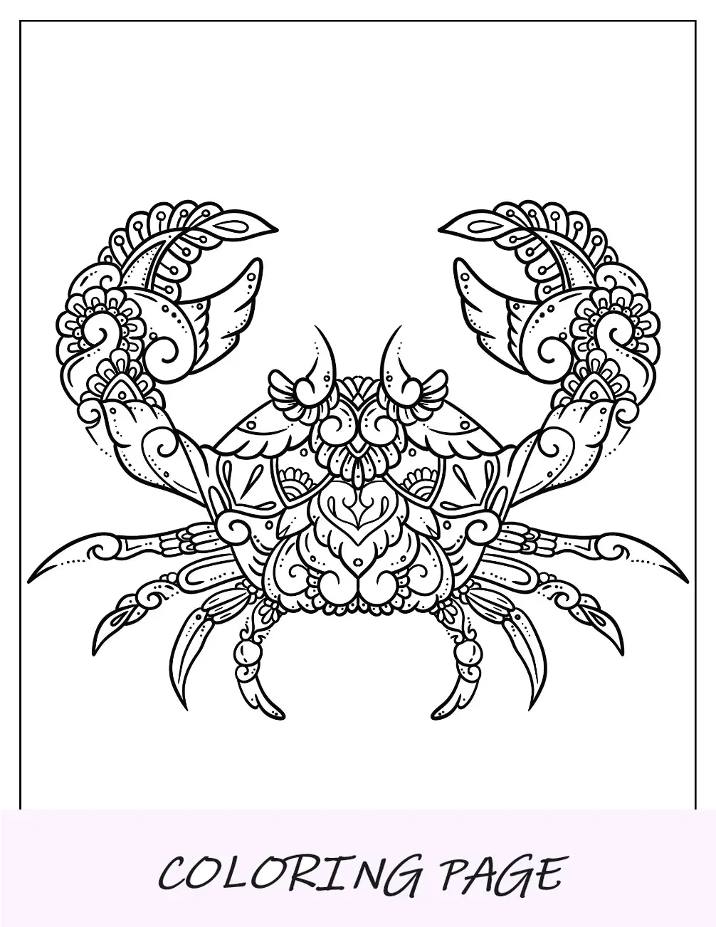Página para colorir de caranguejo mandala floral