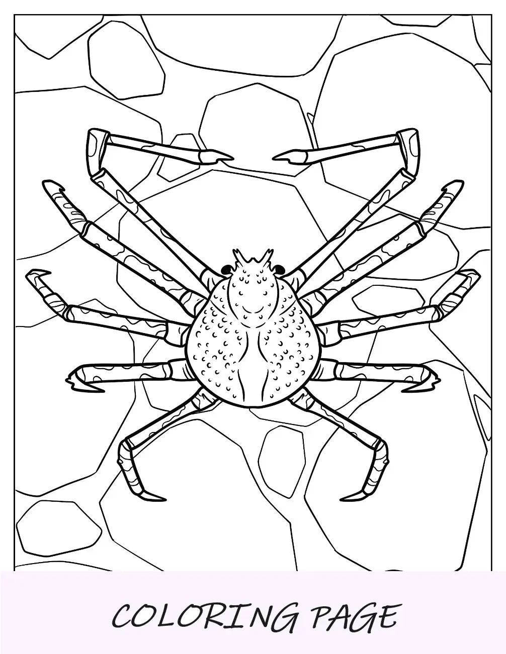 Página para colorir de caranguejo-aranha nas rochas