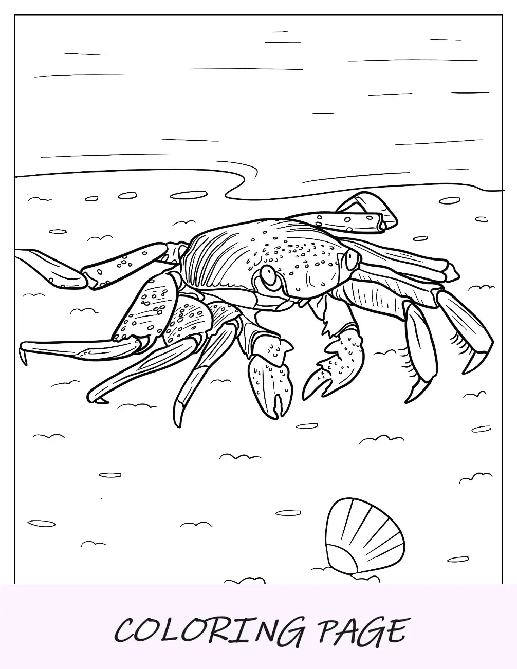 Desenho para colorir do caranguejo Sally Lightfoot
