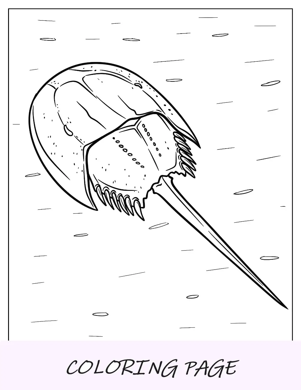 Desenho para colorir de caranguejo-ferradura