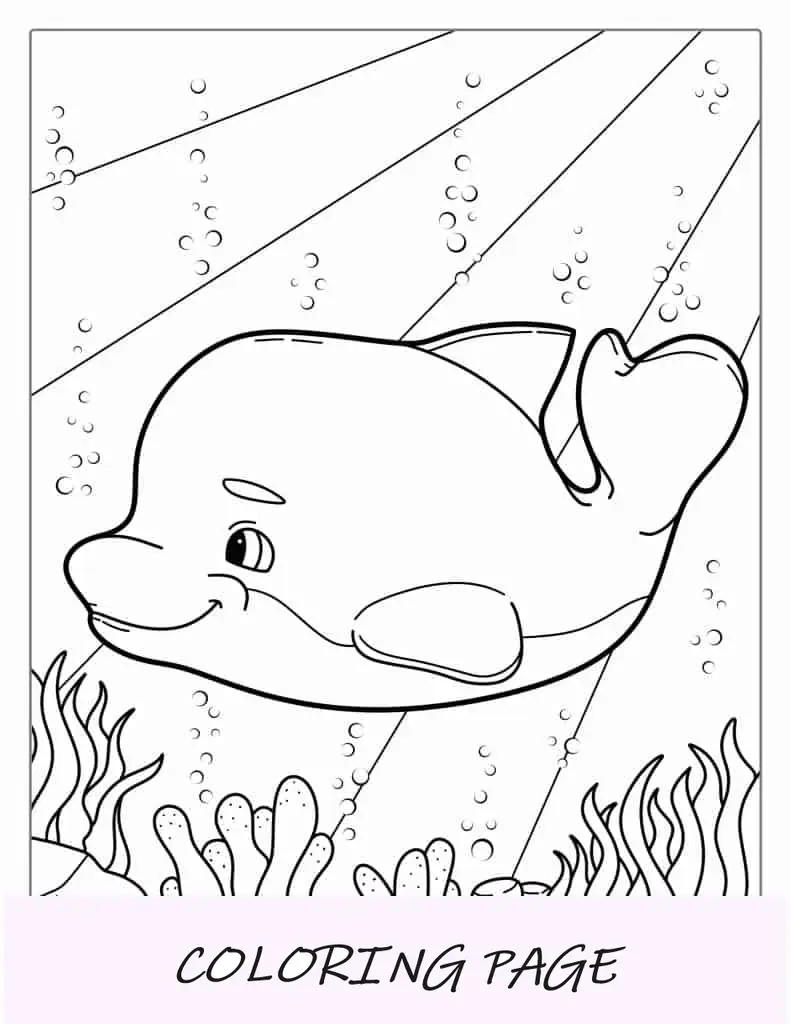 Dibujos animados de delfines nadando en el océano para colorear