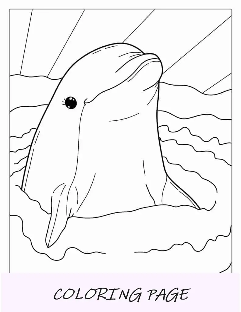 Hoja para colorear de delfines sonrientes para niños