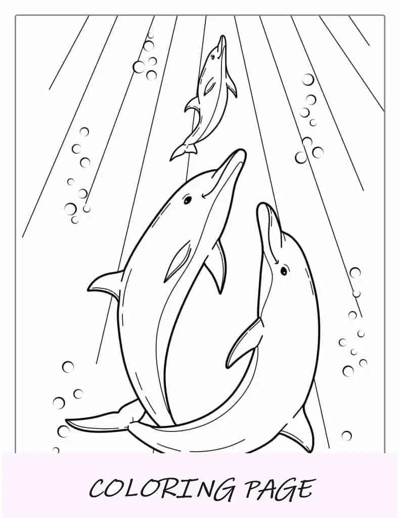 Manada De Delfines Bajo El Agua Página Para Colorear