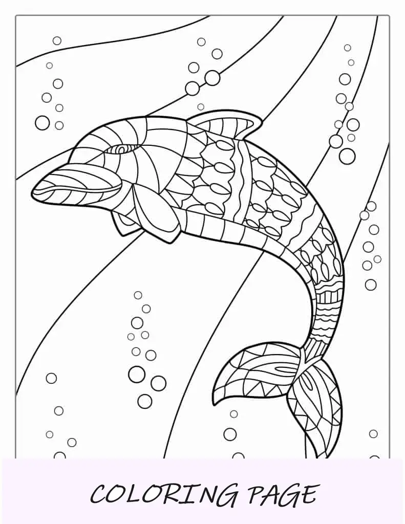 Página para colorear de delfines mandala para adultos