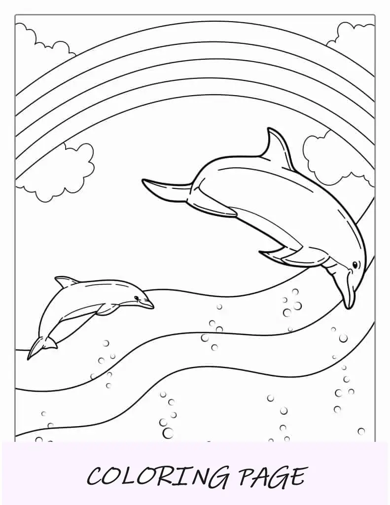 Página para colorear de delfines con arcoiris
