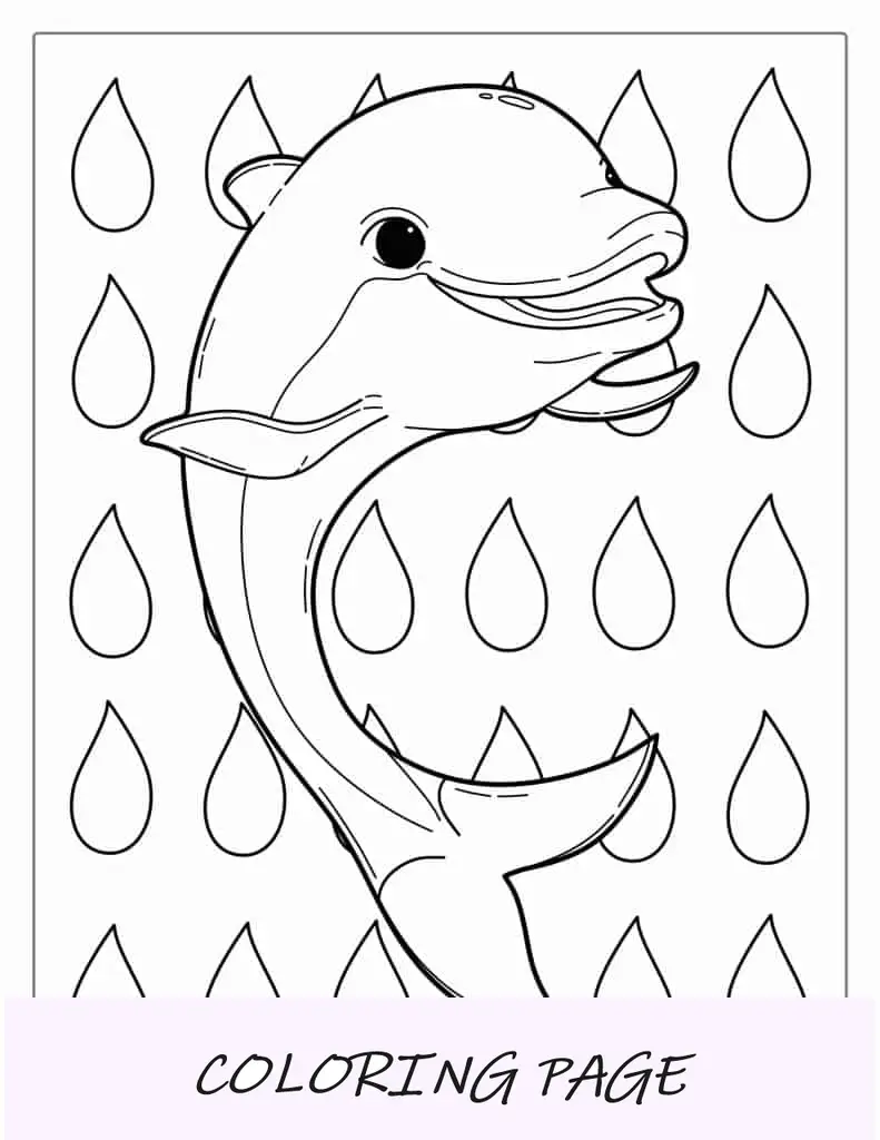 Lindo delfín de dibujos animados para colorear para niños