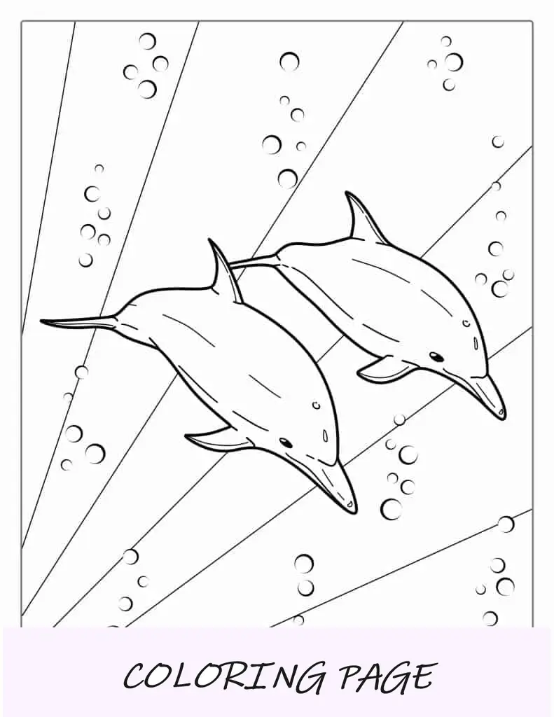 Dos delfines rayados nadando en el océano