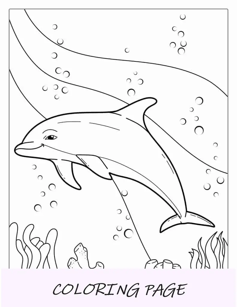 Página para colorear de delfines rayados