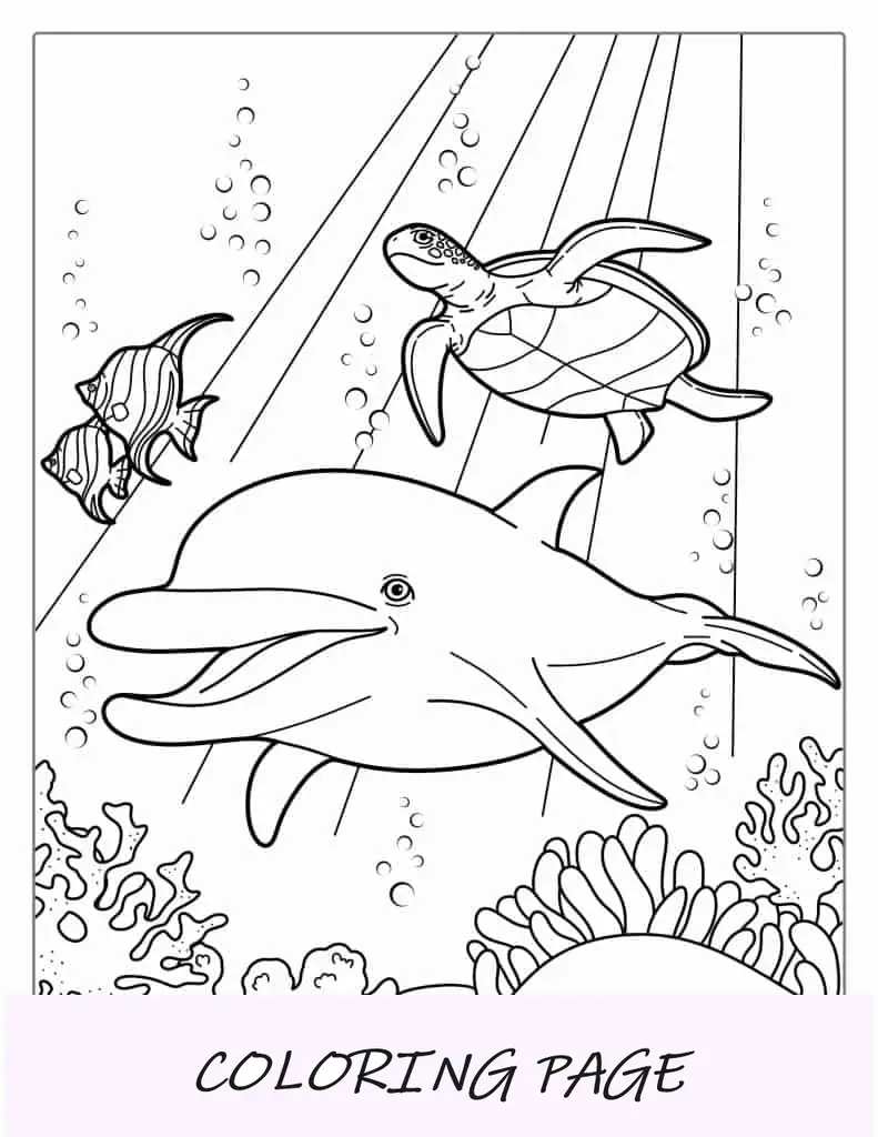 Delfines nadando con peces y tortugas