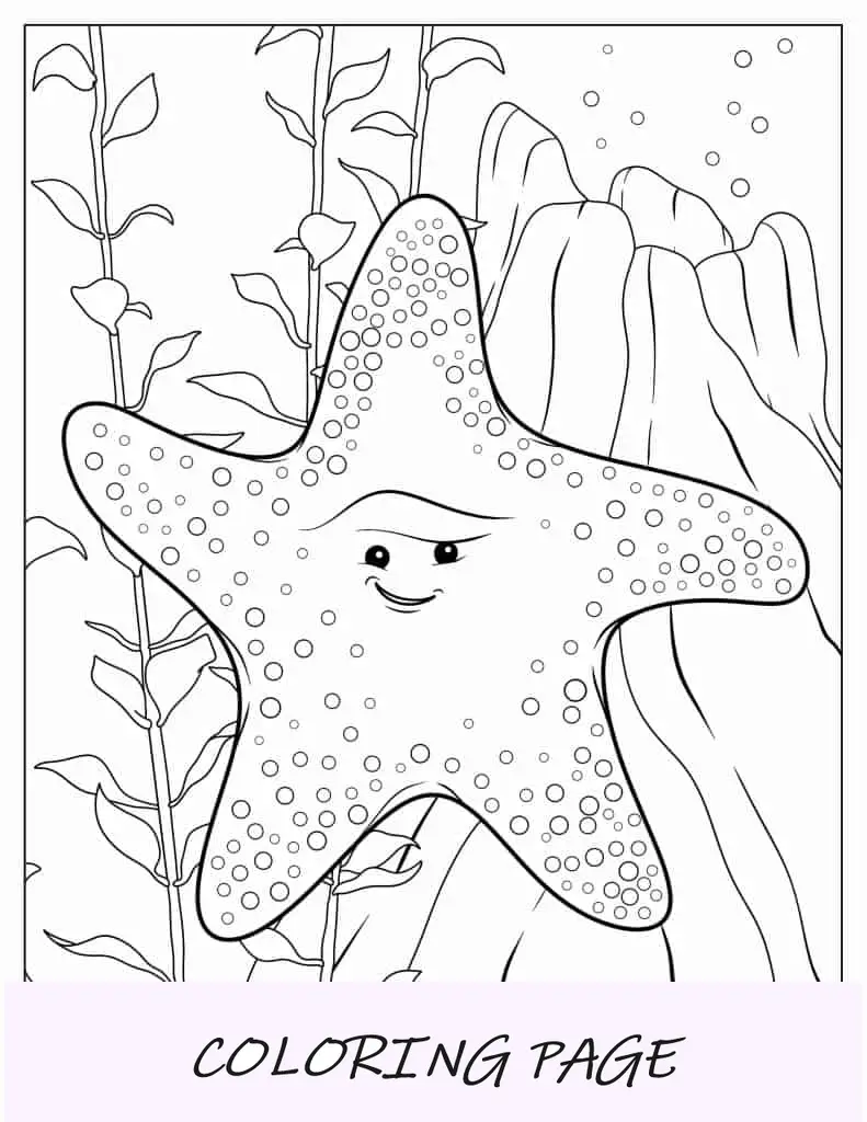 Folha para colorir peixe estrela pêssego