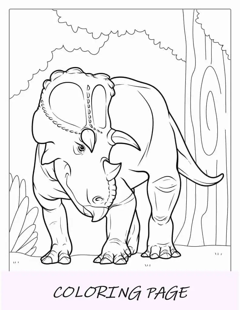 Página detalhada para colorir Triceratops