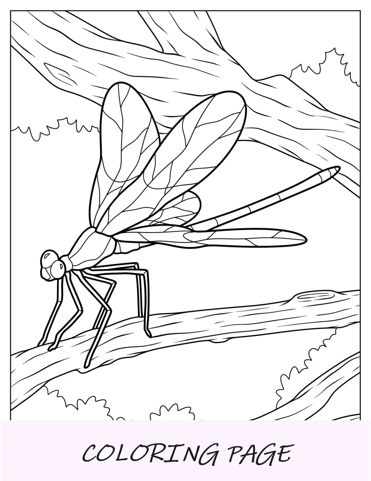 Pagina da colorare realistica della libellula sul ramo di un albero