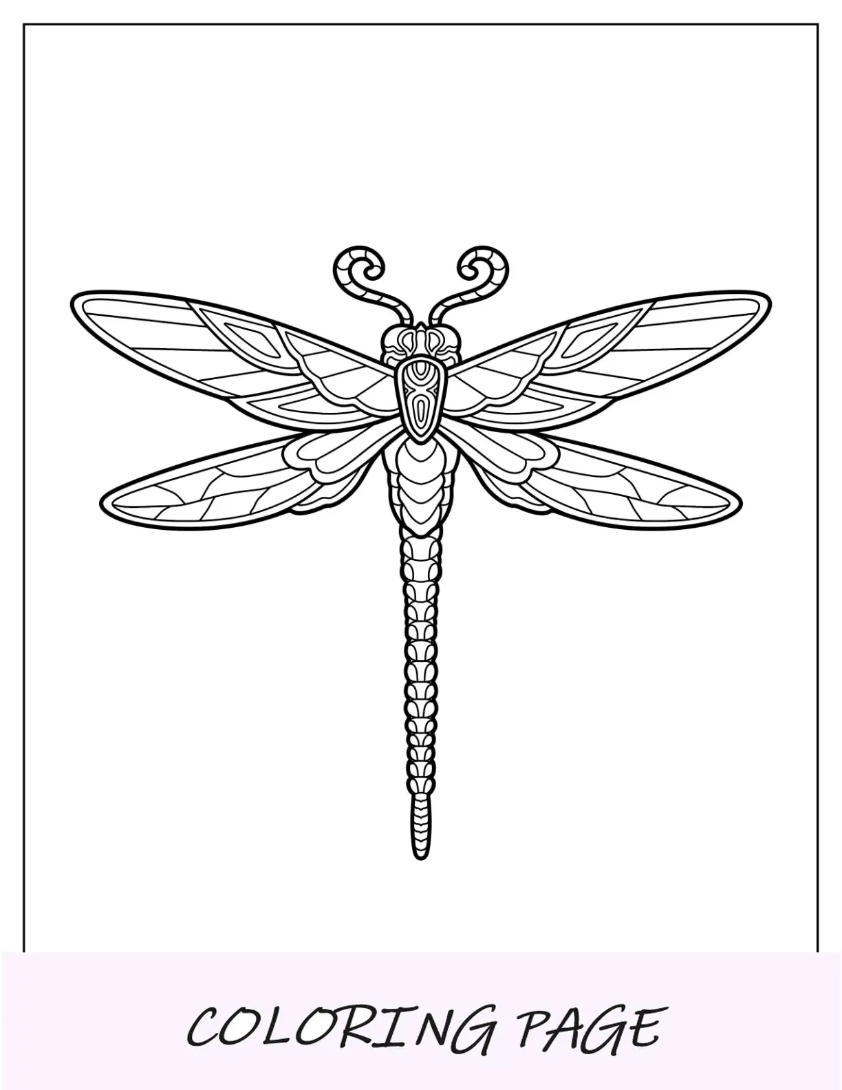 Elegante libellula da colorare con antenna riccia