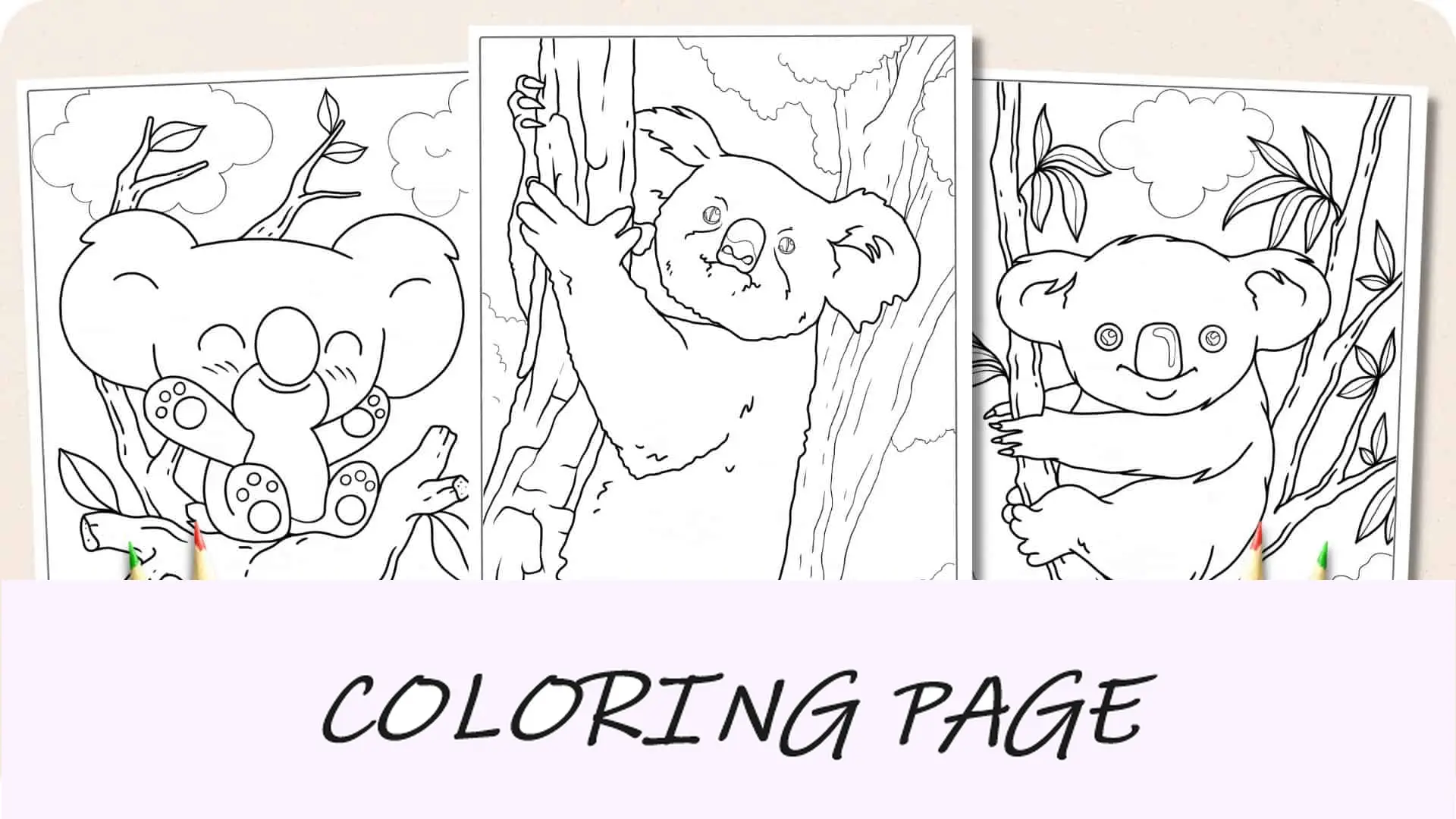 Dibujos para colorear koalas